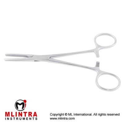Tubing Clamp Stainless Steel, 15.5 cm - 6"